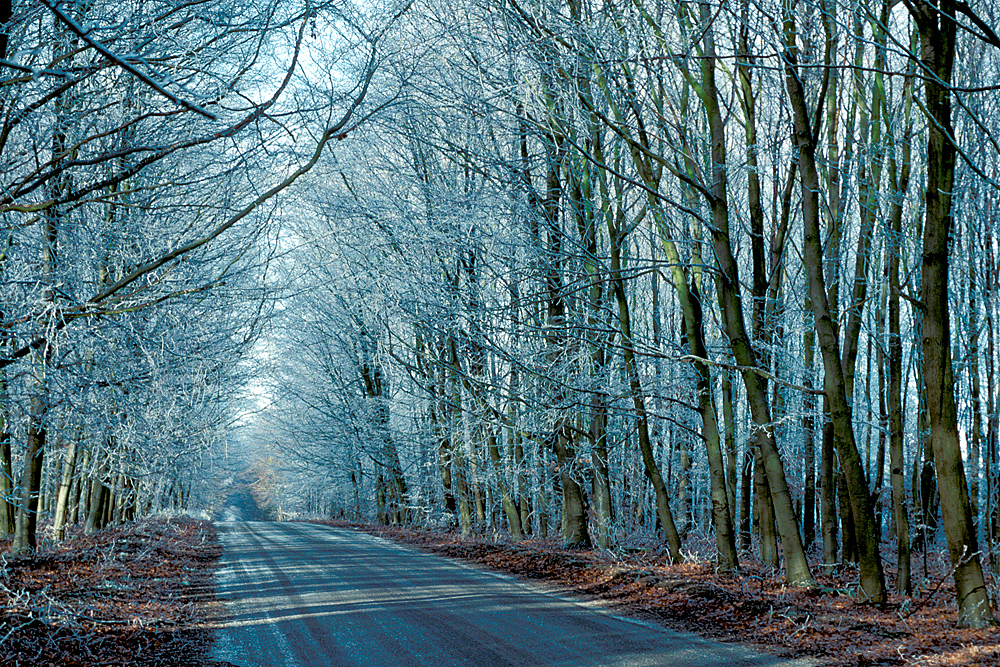 Perishing wind chill returns! However, no severe ‘Beast from the East’.