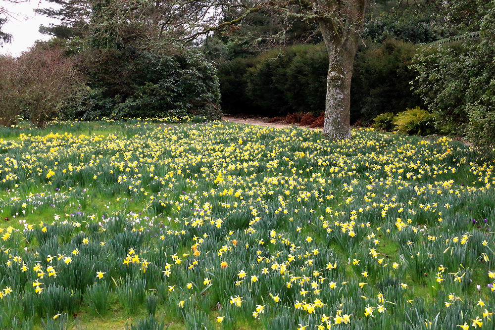 More sunshine ahead after a very cold night